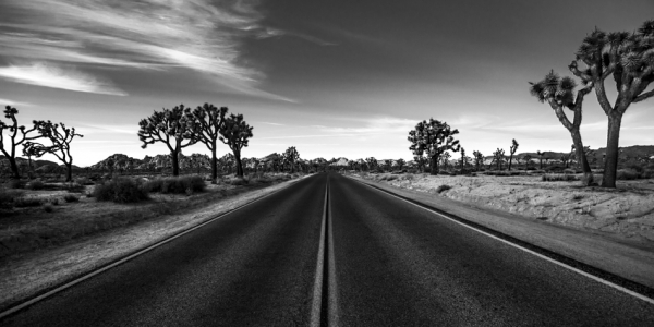 Joshua Tree National Park, California