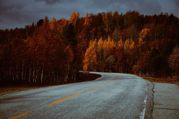 Travel